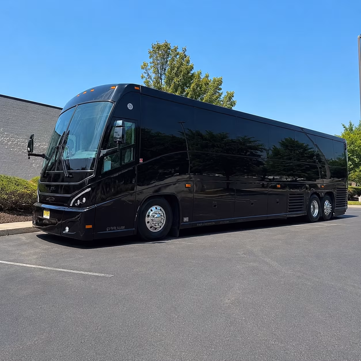 sprinter van shuttle bus pickups at dtw for incoming novi groups